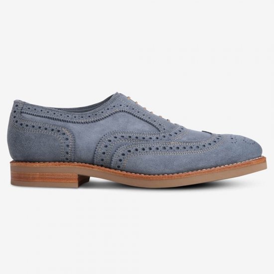 Allen Edmonds Neumok Suede Wingtip Oxford? Blue oo4Me6Tu