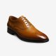 Allen Edmonds Siena Medallion Oxford Dress Shoe Walnut pV2YLNX7